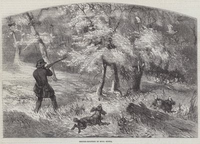 ノバスコシアでのライチョウの撮影 作： Harrison William Weir
